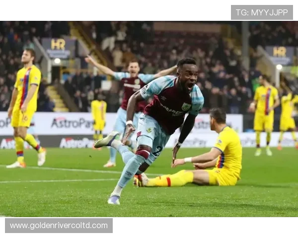 独家解读：杭州排球队意识形态的深度对比与影响分析