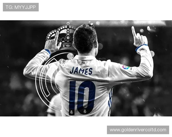 足球明星的宠物选择揭秘他们最爱的四足伙伴与生活方式