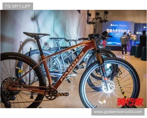 上海篮球队勇闯洲际杯的辉煌历程与背后故事揭秘 上海篮球队勇闯洲际杯的辉煌历程与背后故事揭秘