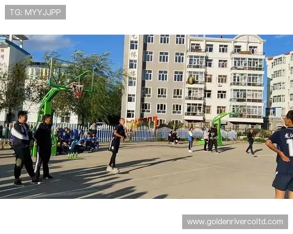 南京排球队反击之路的得与失深度分析与展望