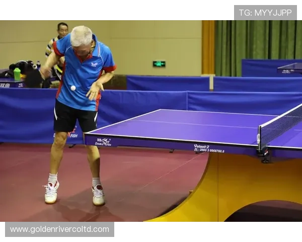 西安羽毛球队以52分稳居精英赛积分榜首位展现强劲实力